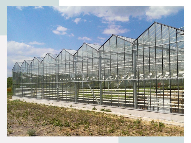 Строительство теплиц в Донецк от 657 руб. за м²